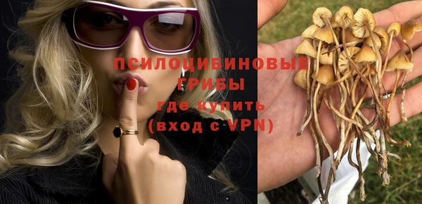 прущие грибы Алексин