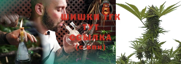 прущие грибы Алексин