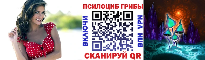 наркота  ссылка на мегу ссылки  Галлюциногенные грибы MAGIC MUSHROOMS  Анива 